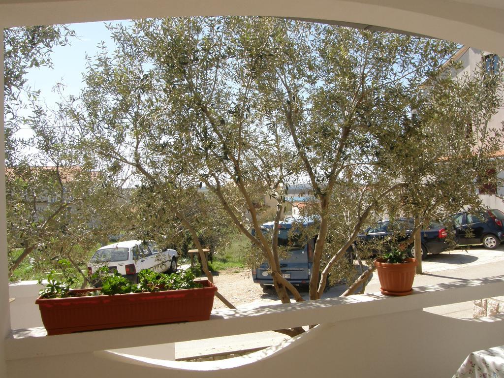 Apartments Marino Povljana Bagian luar foto
